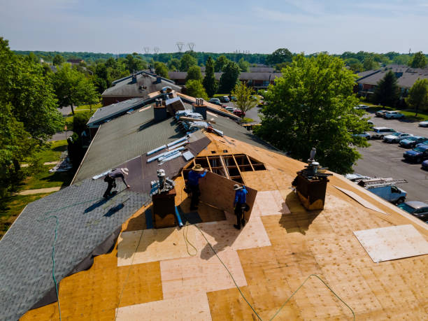 Best Metal Roofing Contractor  in Long Creek, IL