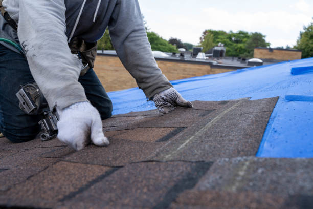 Best Sealant for Roof  in Long Creek, IL