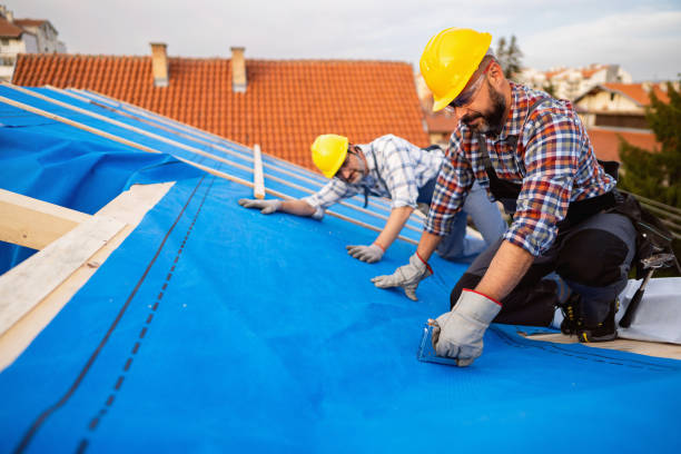 Trusted Long Creek, IL Roofing Contractor Experts