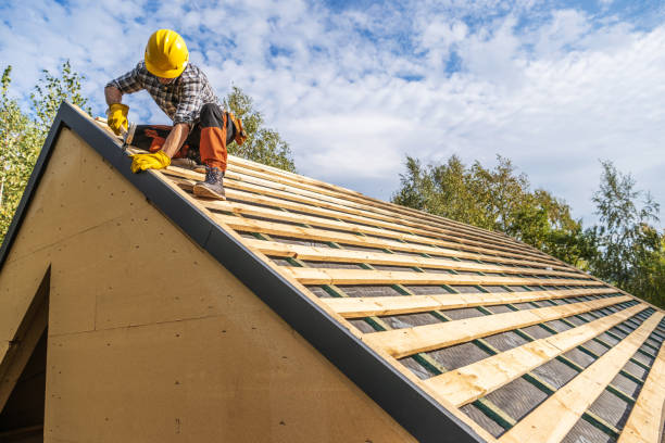 Best Roof Gutter Cleaning  in Long Creek, IL